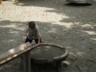 img008.jpeg.small.jpeg