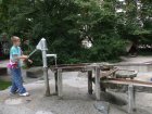 img009.jpeg.small.jpeg
