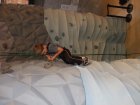 img001.jpeg.small.jpeg