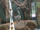 img006.jpeg.small.jpeg