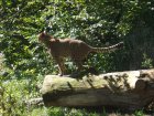 img010.jpeg.small.jpeg