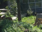img011.jpeg.small.jpeg