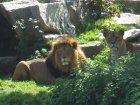 img012.jpeg.small.jpeg