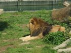 img013.jpeg.small.jpeg