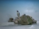 img015.jpeg.small.jpeg