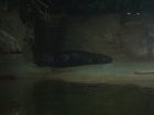 img010.jpeg.small.jpeg