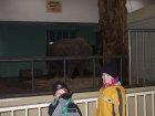 img012.jpeg.small.jpeg