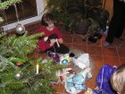 005-PC246524.JPG.small.jpeg