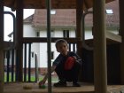 img003.jpeg.small.jpeg