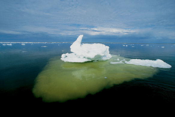 iceberg with most of its volume submerged
