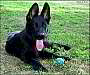 Picture (90x75, 2.6Kb)