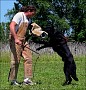 IMG_5331s.JPG