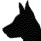 Dog Site