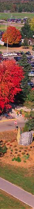 UWSP campus in fall