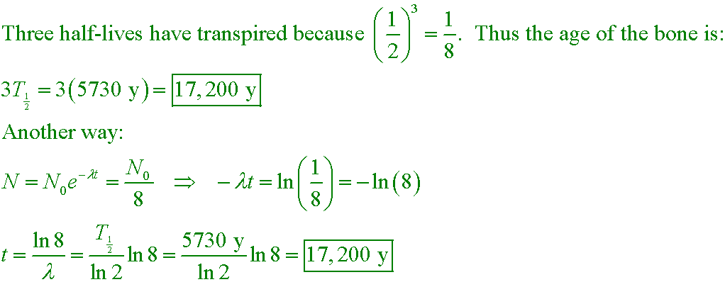 half life equation algebra