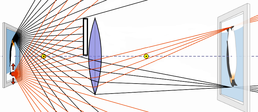 ray diagram with paper blocking half the lens