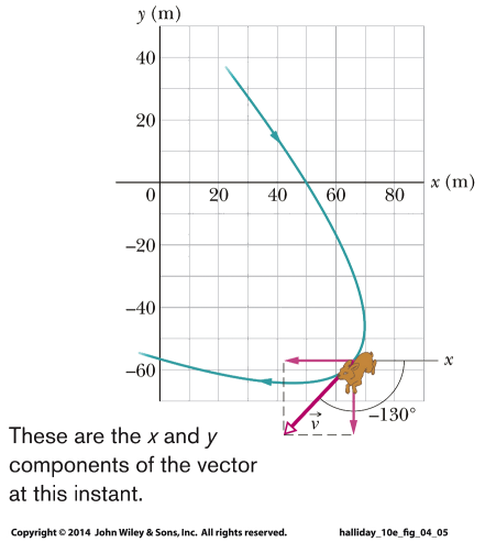 two-dimensional path of a dog