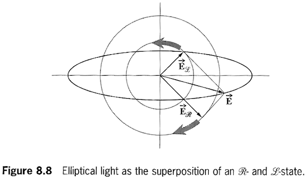 Hecht4 Fig. 8.8 two circular states