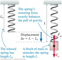 mass hanging from vertical spring