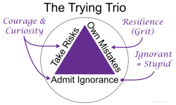 The Trying Trio framework for learning anything - curiosity, resilience