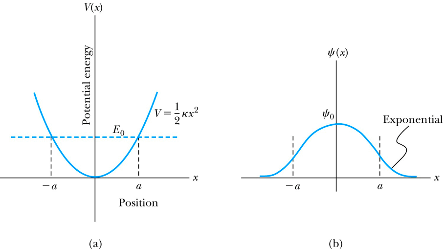 simple harmonic oscillator potential