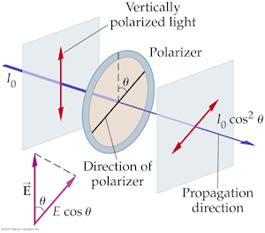 polarized light incident on polarizer