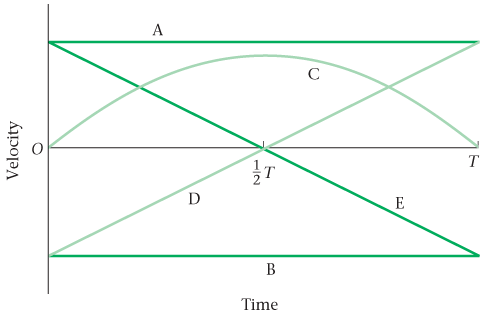 various plots of velocity versus time