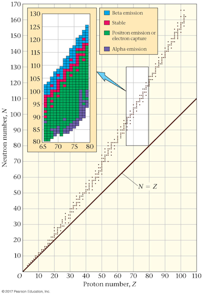 neutron proton line of stability