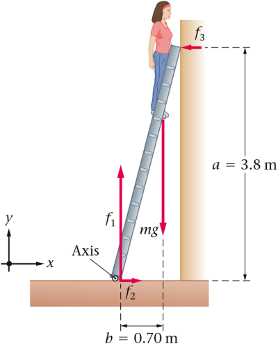 person on a ladder in equilibrium