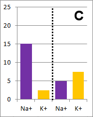 bar graph C