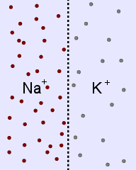 picture of ions