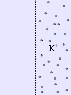 diffusion question image