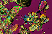crystals viewed in polarized light