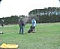 Picture (60x49, 1.5Kb)