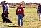 Picture (60x42, 1.4Kb)